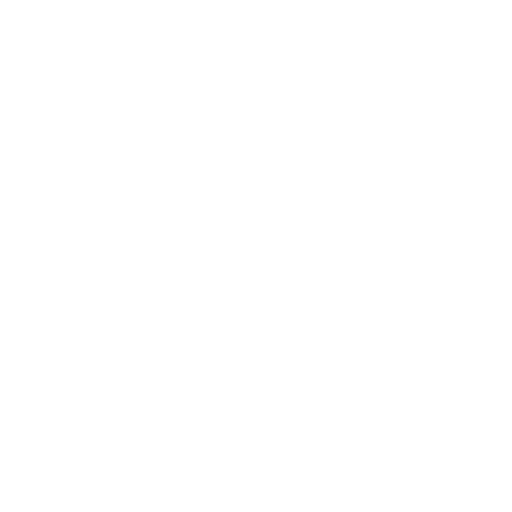 instagram white Icon